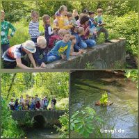 InCollage_20250528_141802655