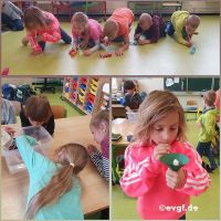 InCollage_20250528_141552637